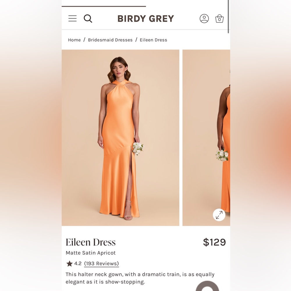 Birdy Grey Eileen Dress in Apricot Satin